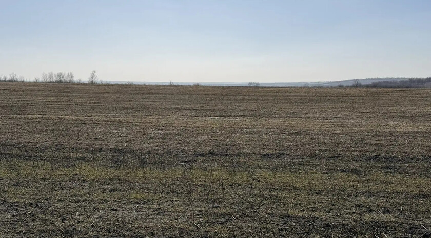 Агрономы с начала года обследовали более 79 тыс. га сельхозземель в ЛНР