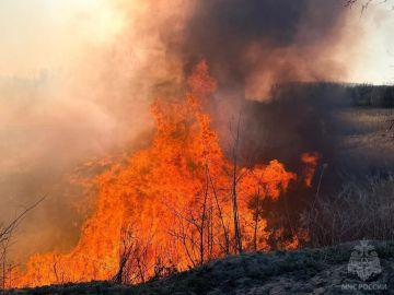 Сухотравные пожары вернулись в ЛНР
