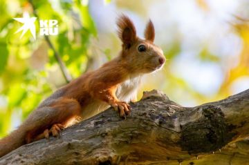 16 ����� � ���� ������� ����������