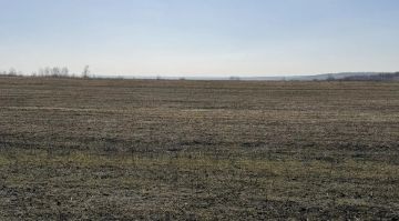 �������� � ������ ���� ����������� ����� 79 ���. �� ������������� � ���