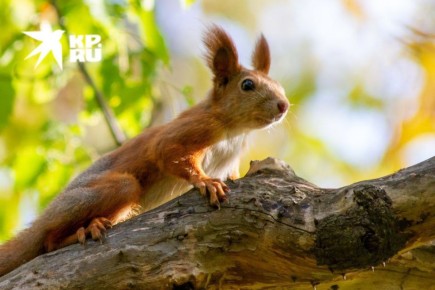 16 марта — день «Будьте счастливы»