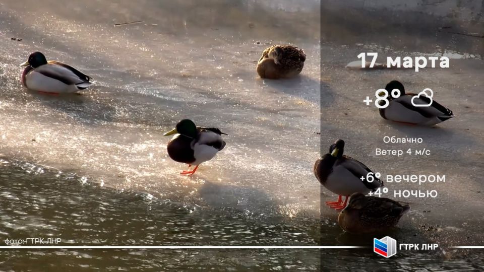 ������ ����, ��������� �������� ����������!