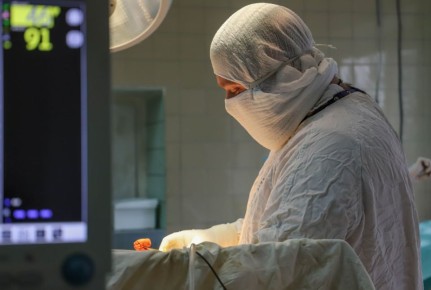 ������ ����. � ��������� ��������������� ����������� �������� ��������� ����������� ������������������ �������������� ������� �������� � �������� ������������� ����������� �������