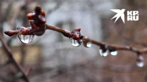 �� 18 ����� � ��� ������� ����� � �����