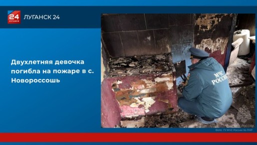 Двухлетняя девочка погибла на пожаре в с. Новороссошь