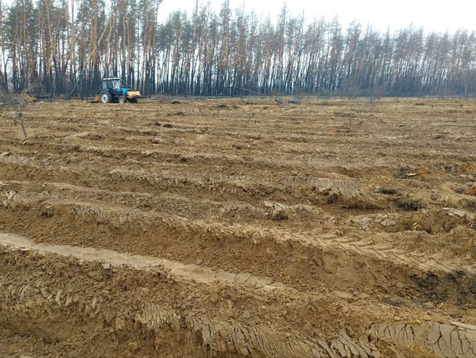 � ��� ���������� �������� �������������� �������� 2026 ����