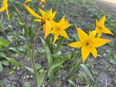 Сегодня в ЛНР потеплеет до +13°С