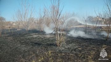 За выходные в ЛНР ликвидировали 22 пожара, 14 из которых — сухотравные