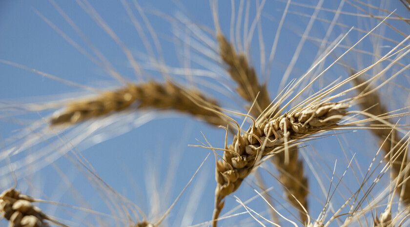 ��������� ������ ������� � ��� ������� � ������������������ � ���������������