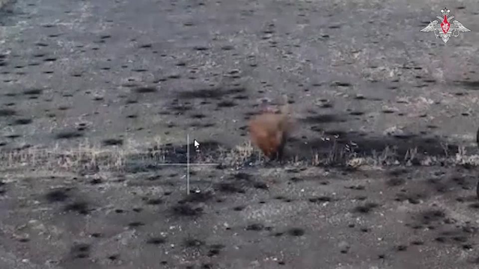 ������ ��-30� �� �� ��������� ���������� ��� � ������� �������, � � ����������� ������� ��� ������ ��������� ������� ������ ����������