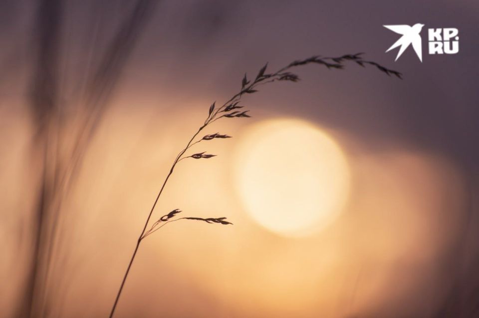 ��� ��������������: ��������� ���� � 23 �� 29 ����� 2026 ����