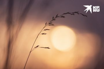 ��� ��������������: ��������� ���� � 23 �� 29 ����� 2026 ����