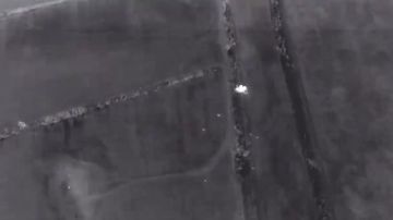 Артиллерийские расчеты ВС РФ уничтожили замаскированные позиции и личный состав ВФУ на Запорожском направлении