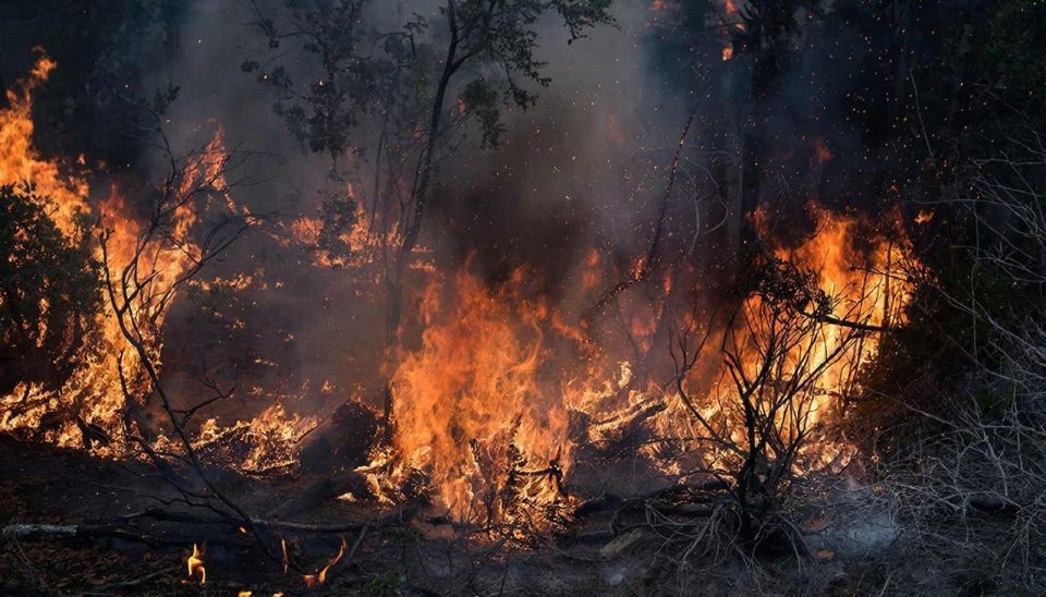 ����������, ��� � ��� � 1 ������ �������� ��������������� �����