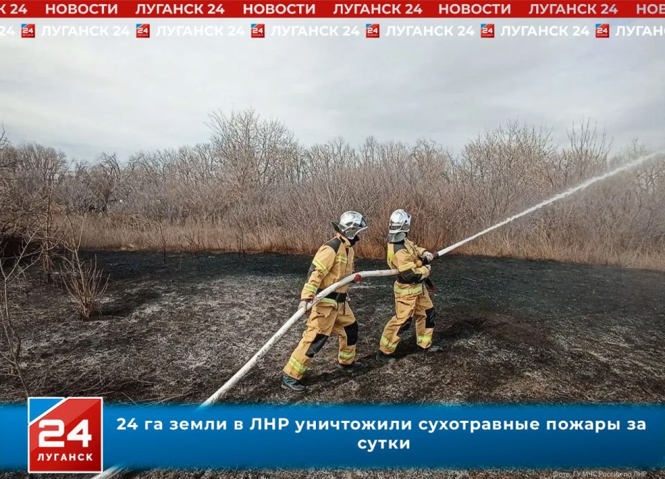 24 �� ����� ���������� ����������� ������ �� �����