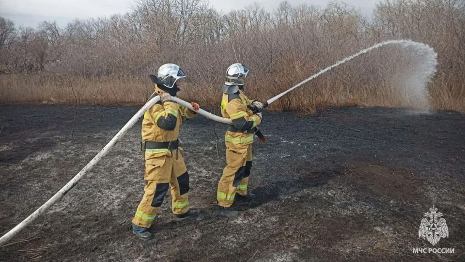 �� ����� � ��� ������������� 21 �����, 18 �� ��� � �����������