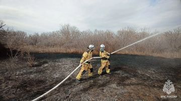 � ��� ������������� 18 ����������� ������� �� �����