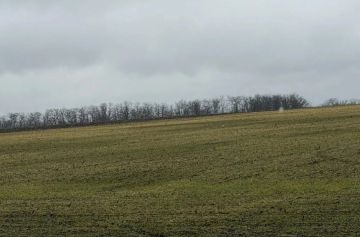 �������������������� ��� ��������� ����������� ������ ��� �������������