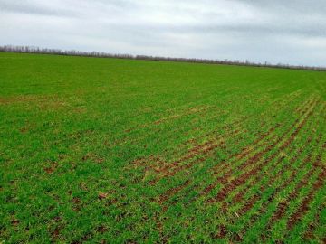 � ��� ��������� ������ ��������������� ���������