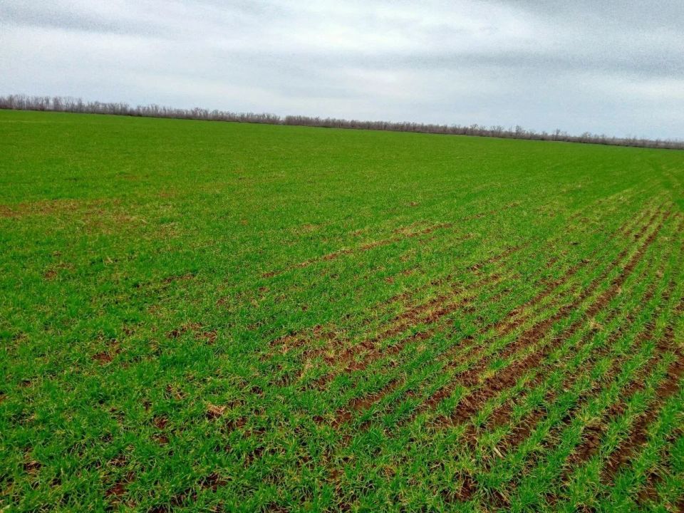 � ��� ��������� ������ ��������������� ���������