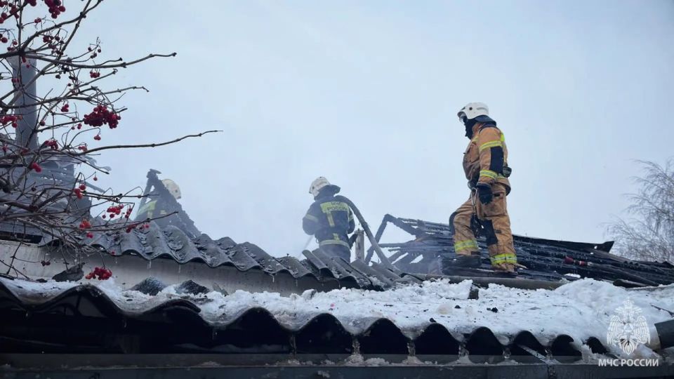 �� ����� � ��� ������������� 7 �������, ���� ������� �����