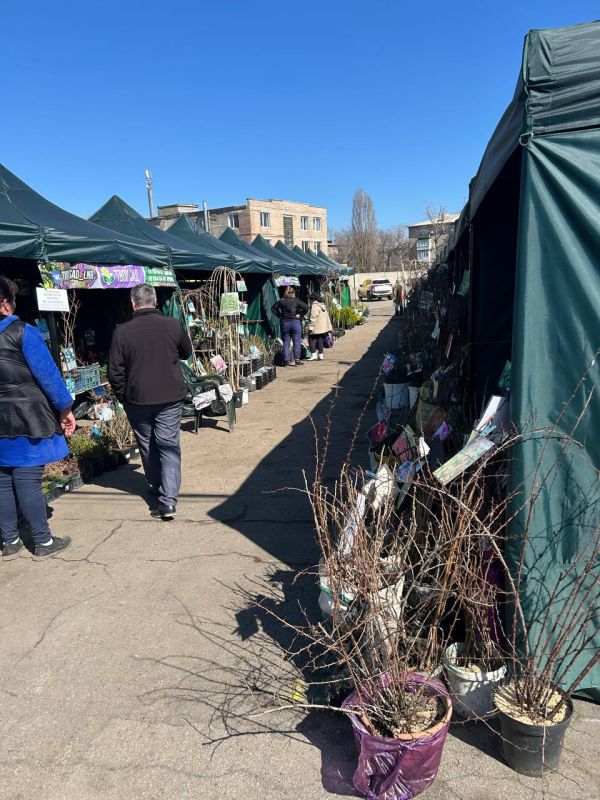 Луганчане и гости города смогут теперь покупать саженцы деревьев в обустроенном месте