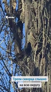 ��������� ������� ������� ���������� �����