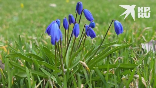 Доброе утро!. Пусть день складывается легко, а кофе не остывает в самый неподходящий момент