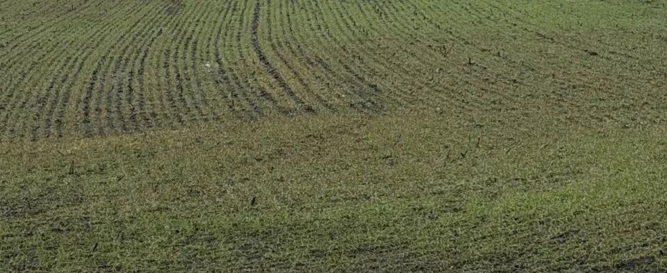 ���� �� ������: �� ��� ������������ ������� ���