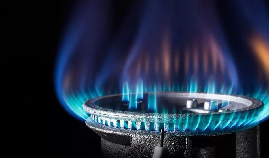 � 2026 ���� � ������ ��������� ����������� ������������� ����������� � �������� ���������� ���� 800 ������������ � ����������