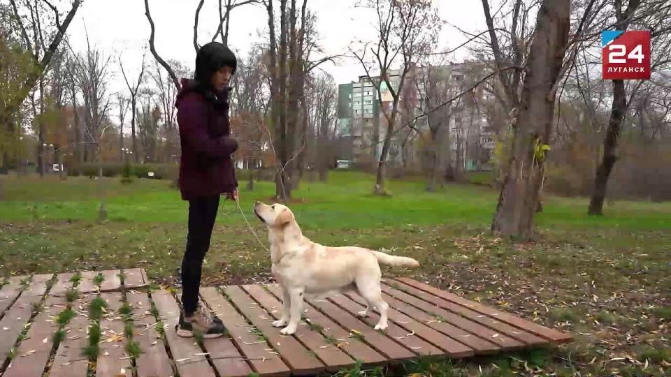 �������� ��� ������ �������: ��� ��������� �������