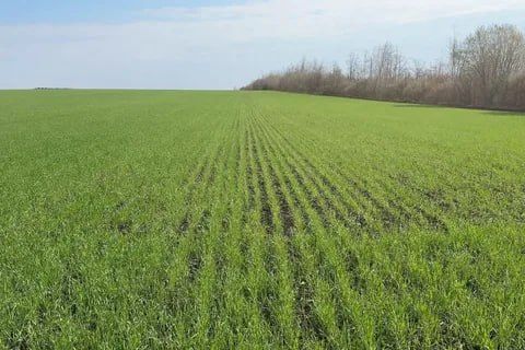 � ��� ������ �������� ��������� � ������� � ������������������ ���������