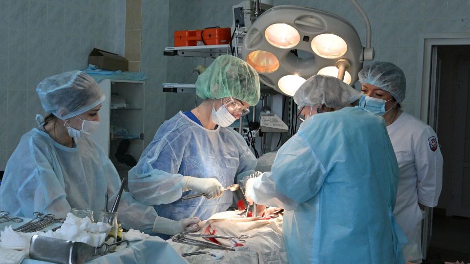 ����� ������� ������: ���������� ���������� ��������, ������� � ��������������