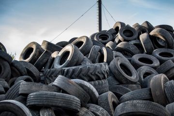 ��������� ����������� ��������� ���������� ����� �������� ��� �� �����������