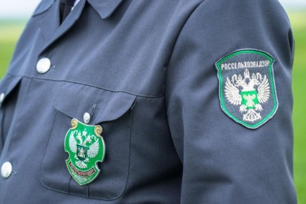 ���������������� ������ ����� 320 ��������� ��� ���������� ������������� � ���