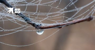 ������ � ��� �� 27 �����. ��� ���� ����������� ����� � ����������� �� ������ � �������� ������