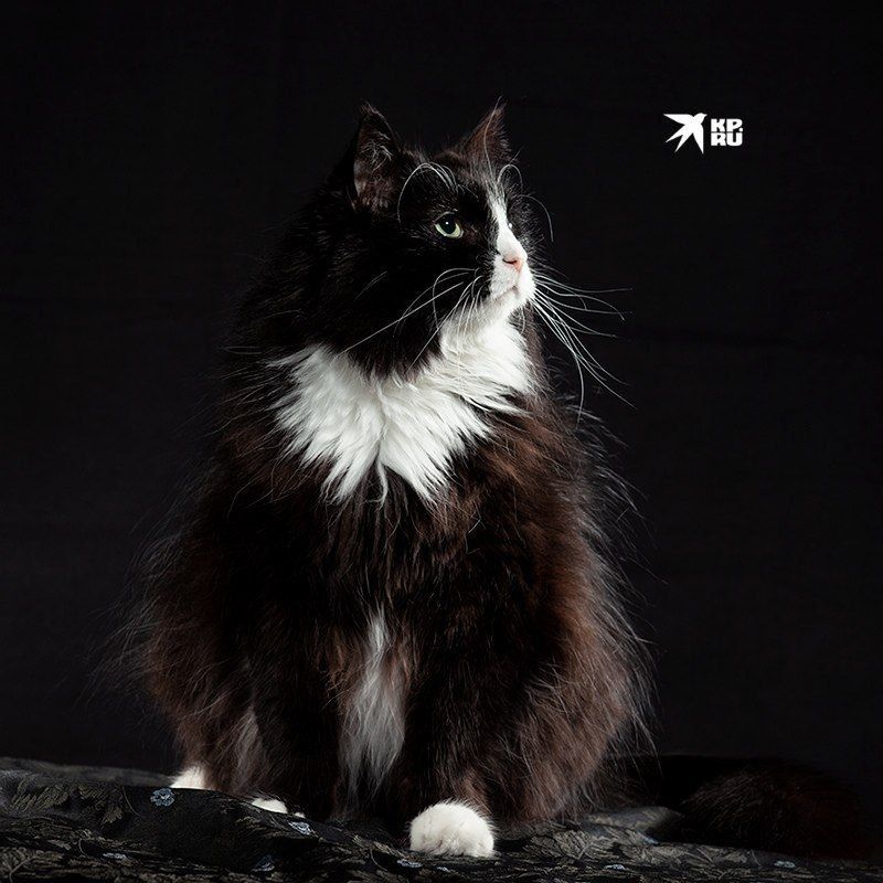 27 ����� - ���� ���������� �����