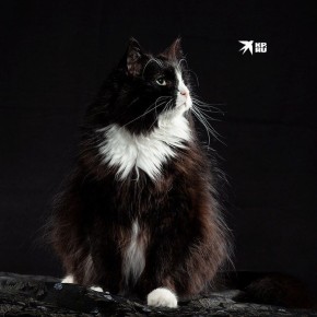 27 ����� - ���� ���������� �����