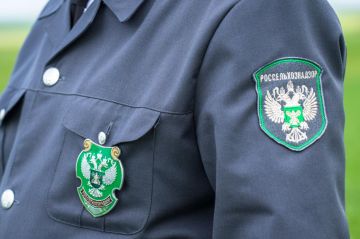 ���������������� ������ ����� 320 ��������� ��� ���������� ������������� � ���