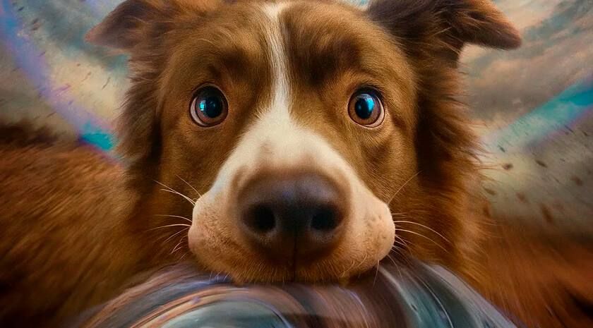 ��������� �����: ��� � ����� ���������� � �������� �� ��������