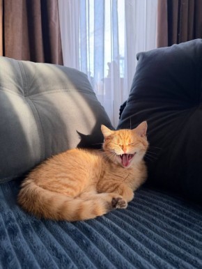 29 марта на территории Луганской Народной Республики будет облачно с прояснениями