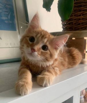 30 ����� �� ���������� ��������� �������� ���������� ����� ������� � ������������