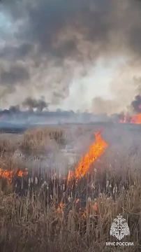 ������ � ���������� �� ������������