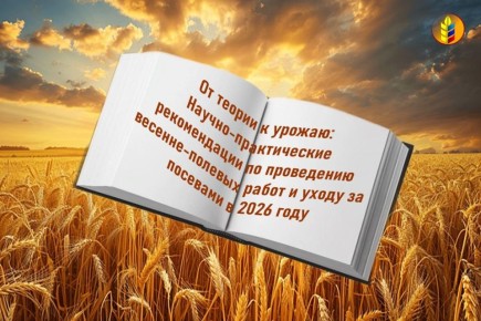 Наука в помощь полю: новые рекомендации Минсельхоза ЛНР и Луганского ГАУ по весенне-полевым работам в 2026 году