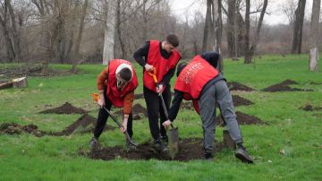 � ������ ������������� ����� ���� ������ � �������� �������� �����