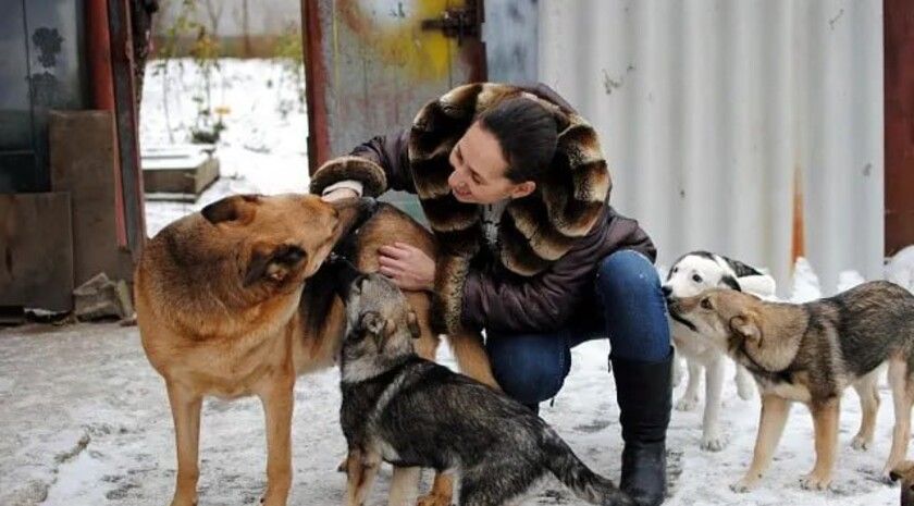 ����������� �� ������ �������� ���������� � �������� ������ ���������� � ������������