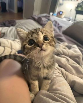 31 марта на территории Луганской Народной Республики будет облачно с прояснениями