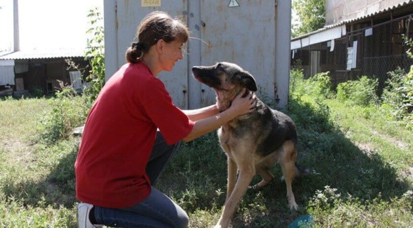 ��������� ��������� �������� �������� ������������ ��������� �������� � �����������