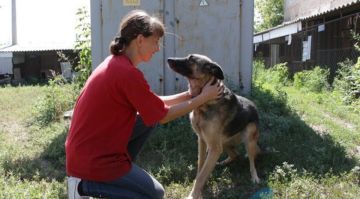 ��������� ��������� �������� �������� ������������ ��������� �������� � �����������