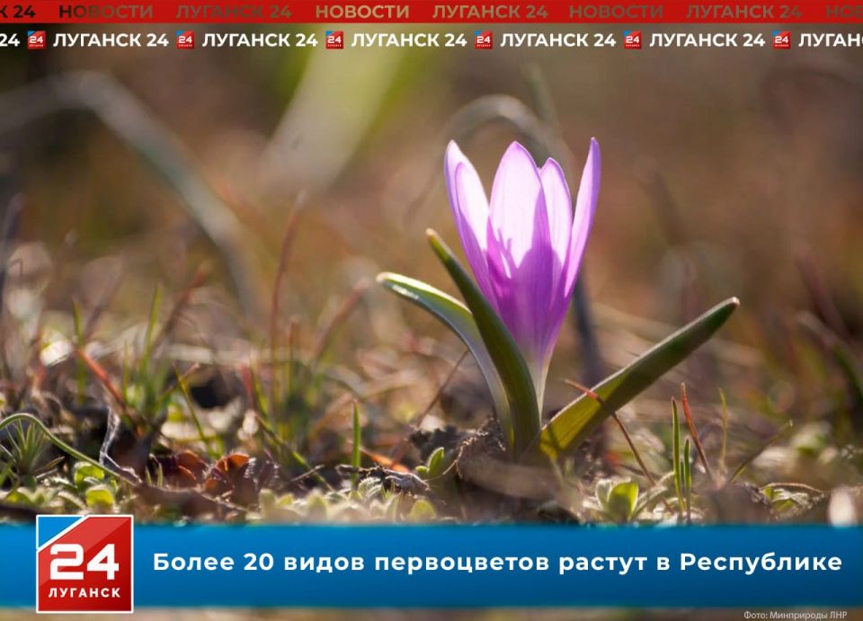 ����� 20 ����� ����������� ������ � ����������